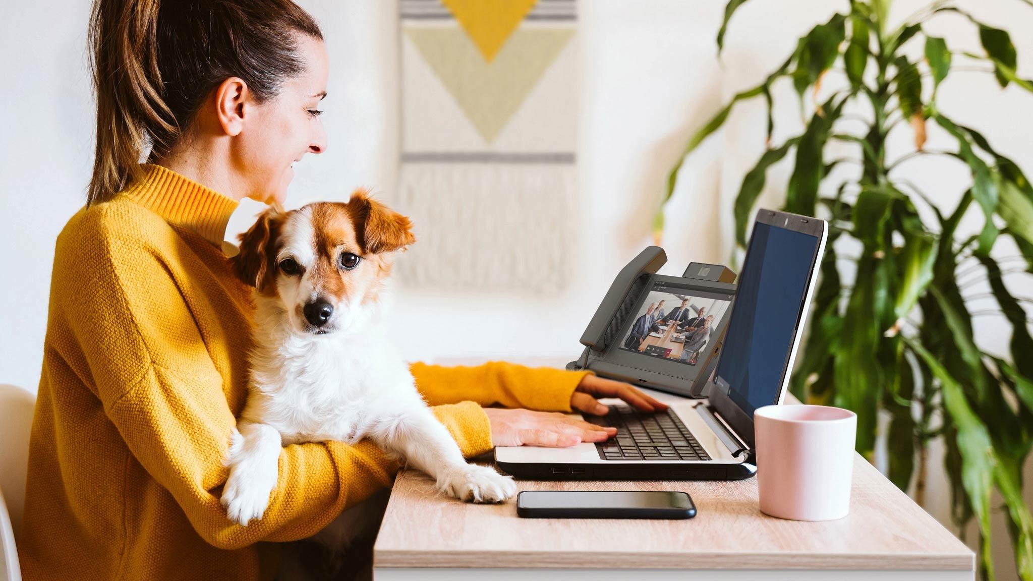 A smiling woman works on a laptop at a desk while holding her small dog, with a video-conferencing desk phone and potted plant nearby.