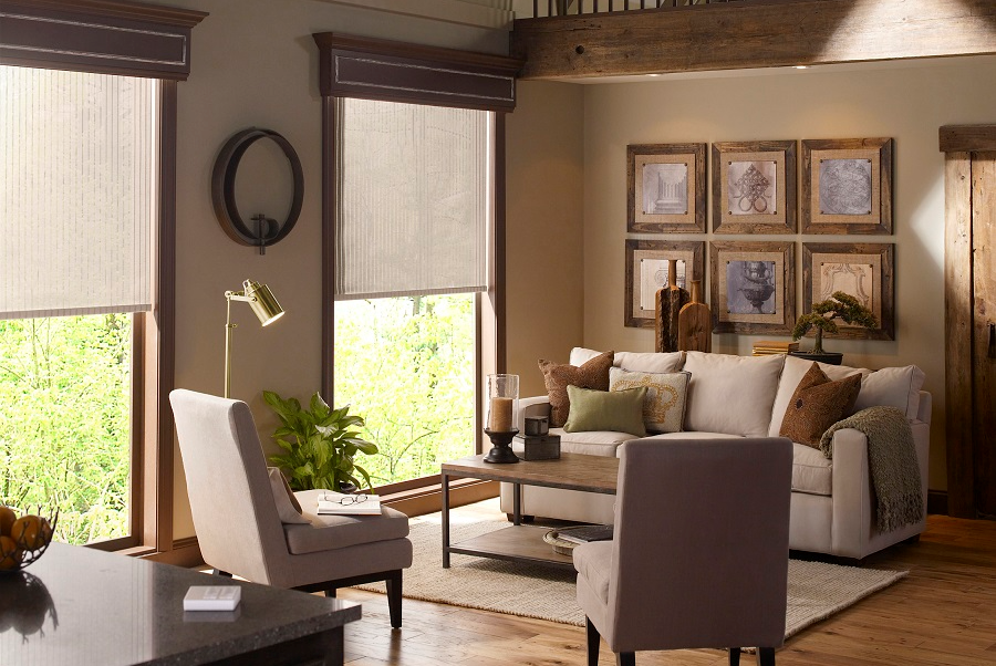 Which Motorized Shades Work Best for Your Home and Budget?