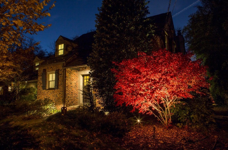 AVDECO_February_SparkBlog1_LandscapeLighting_Fayetteville_AR_IMAGE